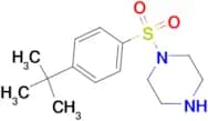 1-(4-tert-Butyl-benzenesulfonyl)-piperazine