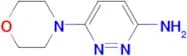 3-Amino-6-(morpholin-4-yl)pyridazine