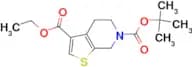 N-Boc-4,5,6,7-Tetrahydro-thieno[2,3-c]pyridine-3-carboxylic acid ethyl ester