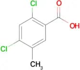 2,4-Dichloro-5-methylbenzoic acid