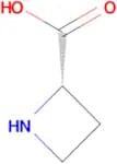 L-Azetidine-2-carboxylic acid