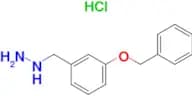 (3-Benzyloxy-benzyl)-hydrazine hydrochloride