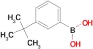 3-tert-Butylbenzene boronic acid