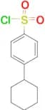 4-Cyclohexylbenzenesulfonyl chloride