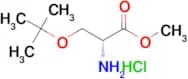 H-d-ser(tbu)-ome.hcl