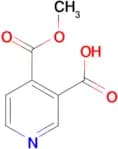 4-(Methoxycarbonyl)nicotinic acid