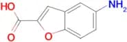 5-Amino-1-benzofuran-2-carboxylic acid