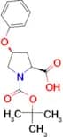 (2S,4S)-Boc-4-Phenoxy-pyrrolidine-2-carboxylic acid