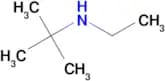 N-tert-Butylethylamine