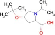 (2S,4S)-4-tert-Butoxy-1-isopropyl-proline