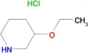 3-Ethoxypiperidine hydrochloride