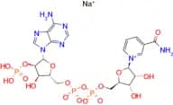 SS-Nicotinamide Adenine Dinucleotide Phosphate Sodium Salt Hydrate, oxidized form [for Biochemical…
