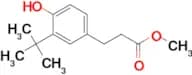 Methyl 3-(3-(tert-butyl)-4-hydroxyphenyl)propanoate