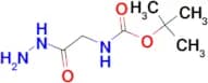 Hydrazinocarbonylmethyl-carbamic acid tert-butyl ester