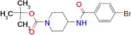 Tert-Butyl 4-(4-bromobenzamido)piperidine-1-carboxylate