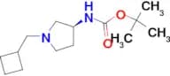 (S)-tert-Butyl 1-(cyclobutylmethyl)pyrrolidin-3-ylcarbamate