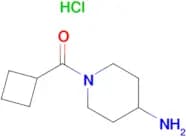 (4-Aminopiperidin-1-yl)(cyclobutyl)methanone hydrochloride