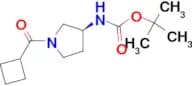 (S)-tert-Butyl 1-(cyclobutanecarbonyl)pyrrolidin-3-ylcarbamate