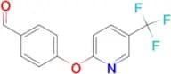4-{[5-(Trifluoromethyl)pyridin-2-yl]oxy}benzaldehyde
