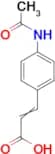 3-[4-(Acetylamino)phenyl]acrylic acid