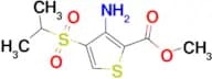 Methyl 3-Amino-4-(isopropylsulfonyl)thiophene-2-carboxylate
