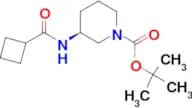 (S)-tert-Butyl 3-cyclobutaneamidopiperidine-1-carboxylate