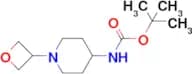Tert-Butyl 1-(oxetan-3-yl)piperidin-4-yl carbamate