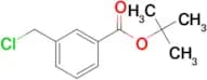 Tert-Butyl 3-chloromethylbenzoate