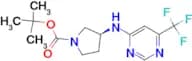 Tert-Butyl (3S)-3-[6-(trifluoromethyl)pyrimidin-4-yl]aminopyrrolidine-1-carboxylate