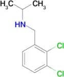 (2,3-Dichloro-benzyl)-isopropyl-amine