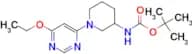 [1-(6-Ethoxy-pyrimidin-4-yl)-piperidin-3-yl]-carbamic acid tert-butyl ester