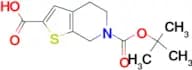 6-(tert-Butoxycarbonyl)-4,5,6,7-tetrahydrothieno[2,3-c]pyridine-2-carboxylic acid