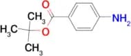 Tert-Butyl-4-aminobenzoate