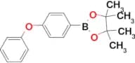 Phenoxyphenyl-4-boronic acid pinacol ester