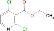 Ethyl 2,4-dichloronicotinate