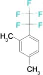 2,4-Dimethyl-pentafluoroethylbenzene