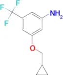 3-(Cyclopropylmethoxy)-5-(trifluoromethyl)aniline