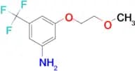 3-(2-Methoxyethoxy)-5-(trifluoromethyl)aniline