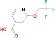 2-(2,2,2-Trifluoroethoxy)pyridine-4-carboxylic acid