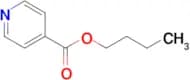 N-Butyl isonicotinate