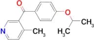 3-(4-Isopropoxybenzoyl)-4-methylpyridine
