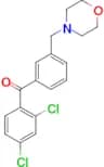 2,4-dichloro-3'-morpholinomethyl benzophenone