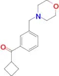 Cyclobutyl 3-(morpholinomethyl)phenyl ketone