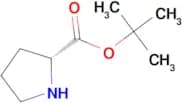 H-D-Pro-Otbu