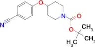 Tert-Butyl 4-(4-cyanophenoxy)piperidine-1-carboxylate
