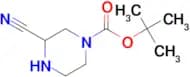 Tert-Butyl 3-cyanopiperazine-1-carboxylate
