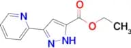 Ethyl 3-(2-pyridinyl)-1H-pyrazole-5-carboxylate