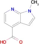 1-Methyl-7-azaindole-4-carboxylic acid