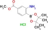 Methyl 3-amino-4-(4,4,5,5-tetramethyl-1,3,2-dioxaborolan-2-yl)benzoate hydrochloride