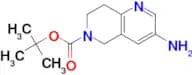 Tert-Butyl 3-amino-7,8-dihydro-1,6-naphthyridine-6(5H)-carboxylate